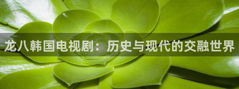 彩虹多多鸿蒙最新版本