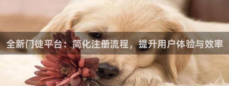 安装彩虹多多