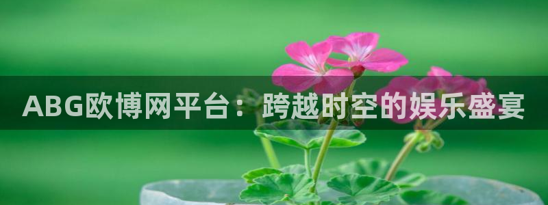 彩虹多多.