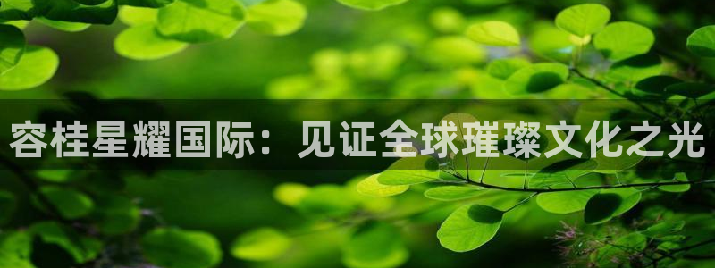 彩虹多多app破解版