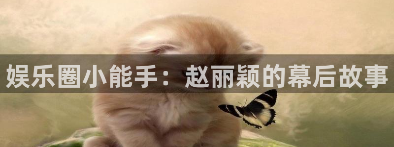 彩虹多多电脑版怎么下载