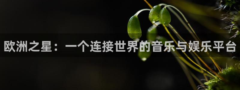 彩虹多多苹果app