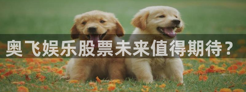 彩虹多多app极速版下载