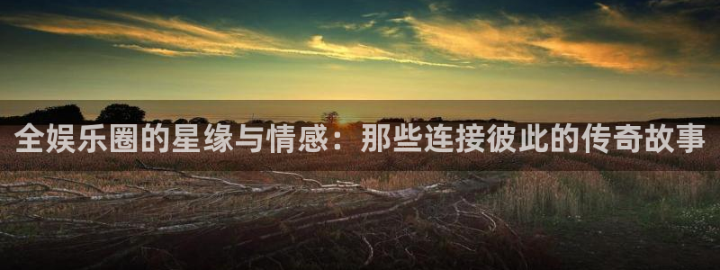 彩虹多多下载安装到手机