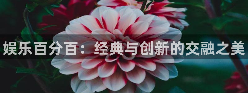 彩虹多多免费下载
