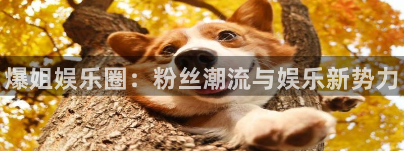 彩虹多多是正规的吗