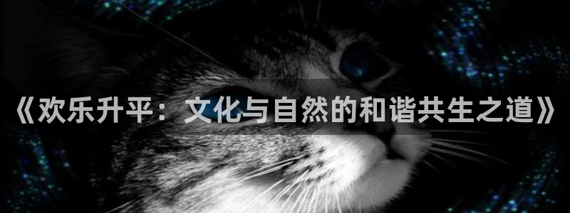 彩虹多多免费版下载安装