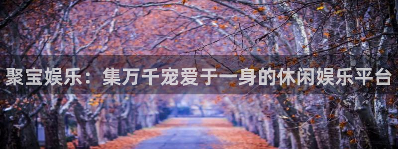 彩虹多多是正规的吗
