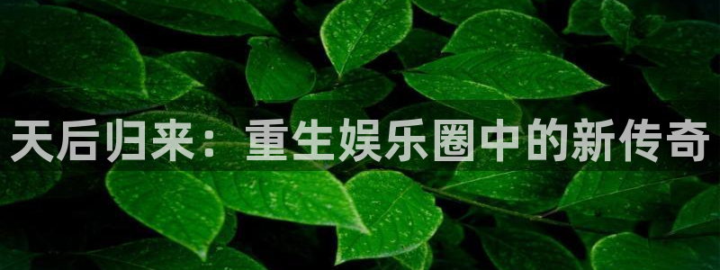 彩虹多多app旧版