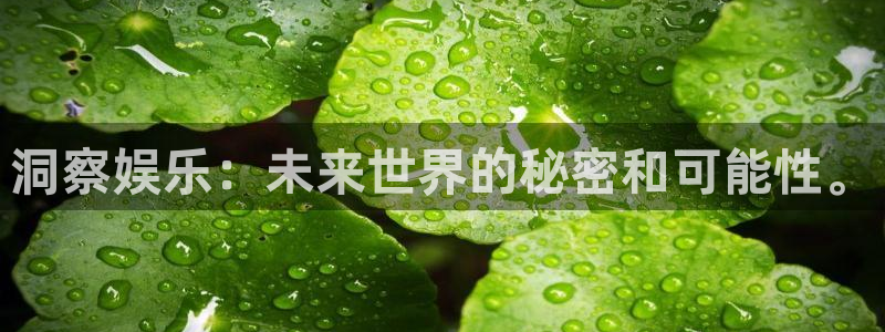 彩虹多多原版下载