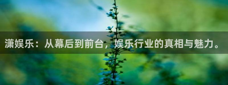 下彩虹多多：潇娱乐：从幕后到前台，娱乐行业的真相与魅力。