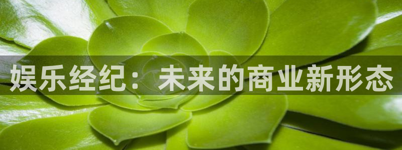 彩虹多多有电脑版的吗：娱乐经纪：未来的商业新形态