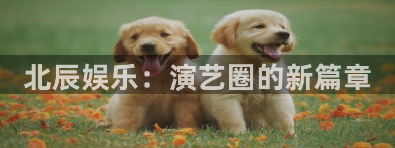 彩虹多多苹果版：北辰娱乐：演艺圈的新篇章