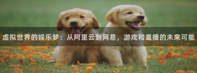 彩虹多多极速版免费安装：虚拟世界的娱乐梦：从阿里云到网易，游戏和直播的未来可能