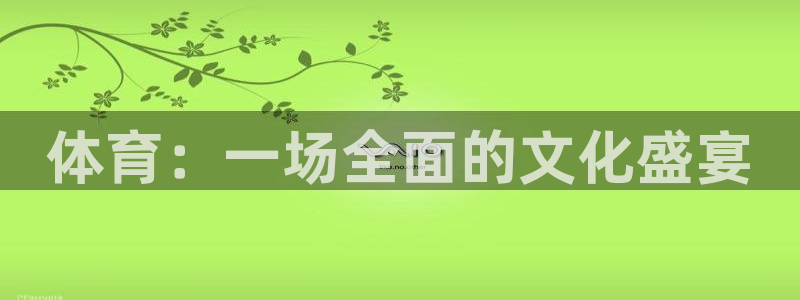 彩虹嘟嘟,彩虹多多：体育：一场全面的文化盛宴