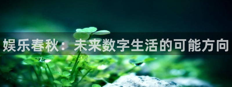 免费下载彩虹多多：娱乐春秋：未来数字生活的可能方向