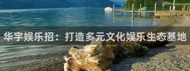 3d开奖结果彩虹多多：华宇娱乐招：打造多元文化娱乐生态基地