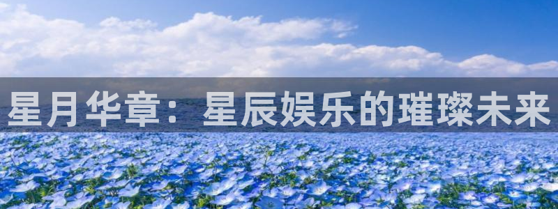 彩虹多多pro：星月华章：星辰娱乐的璀璨未来