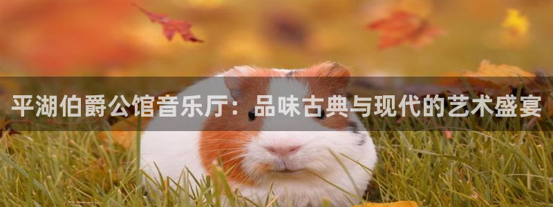 下载新版彩虹多多：平湖伯爵公馆音乐厅：品味古典与现代的艺术盛宴