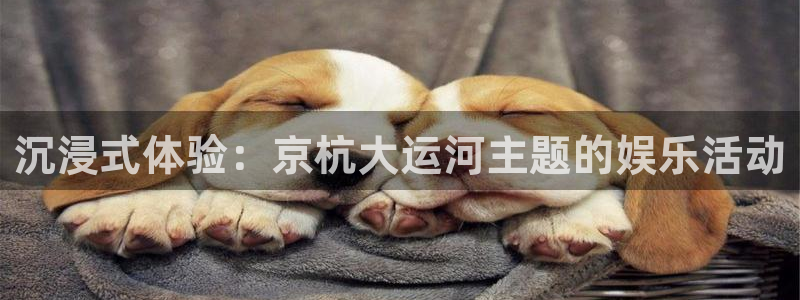 彩虹多多破解版最新版：沉浸式体验：京杭大运河主题的娱乐活动