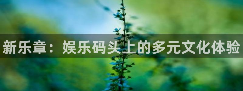 彩虹多多怎么样：新乐章：娱乐码头上的多元文化体验
