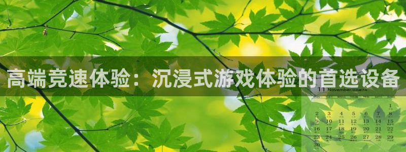 彩虹多多新版：高端竞速体验：沉浸式游戏体验的首选设备